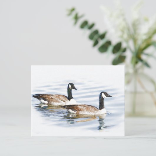 Haar van ganzen briefkaart (Staand voorkant)