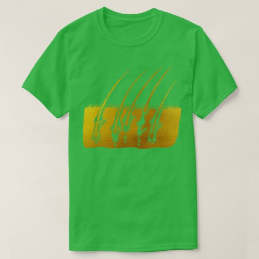 Haargroei stadia 4 t-shirt (Design voorkant)