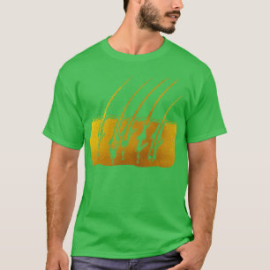 Haargroei stadia 4 t-shirt