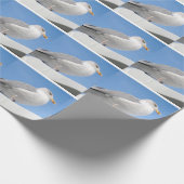 Haargull op een blauwe kajuit cadeaupapier (Hoek)