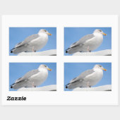 Haargull op een blauwe kajuit rechthoekige sticker (Vel)