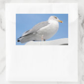 Haargull op een blauwe kajuit rechthoekige sticker (Tas)