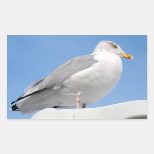 Haargull op een blauwe kajuit rechthoekige sticker (Voorkant)