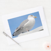 Haargull op een blauwe kajuit rechthoekige sticker (Envelop)