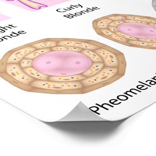 haarkleuren en textuurbasis Poster (Hoek)