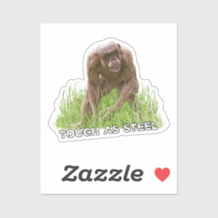 Haarloze chimp taai als staal sticker