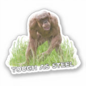 Haarloze chimp taai als staal sticker (Voorkant)