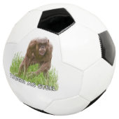 Haarloze chimp taai als staal voetbal (Drie kwart)