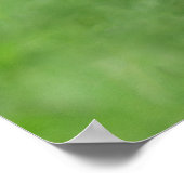 Haarloze chimpansee close-up poster (Hoek)