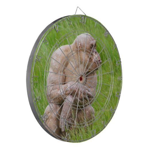 Haarloze chimpansee dartbord (Voorkant Links)