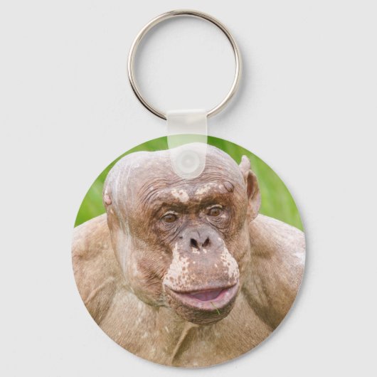 Haarloze chimpansee Magnet Sleutelhanger (Voorkant)