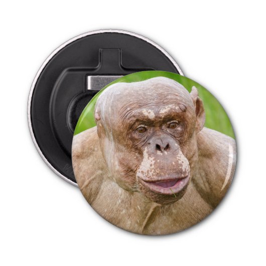 Haarloze chimpansee Magnet-Sleutelhanger Button Flesopener (Voorkant)