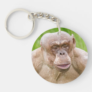 Haarloze chimpansee Magnet-Sleutelhanger Sleutelhanger