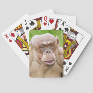 Haarloze chimpansee pokerkaarten