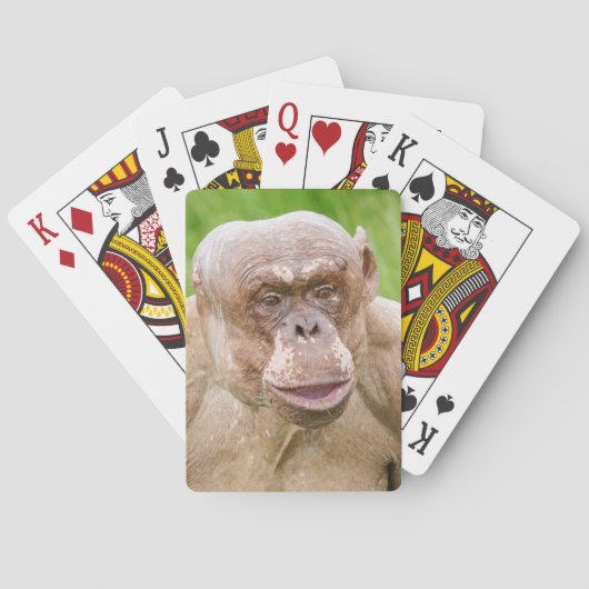 Haarloze chimpansee pokerkaarten (Achterkant)