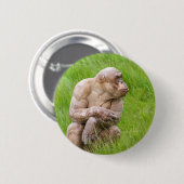 Haarloze chimpansee ronde button 5,7 cm (Voorkant /achterkant)