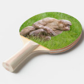 Haarloze chimpansee tafeltennisbatje (Voorkant Gekanteld)