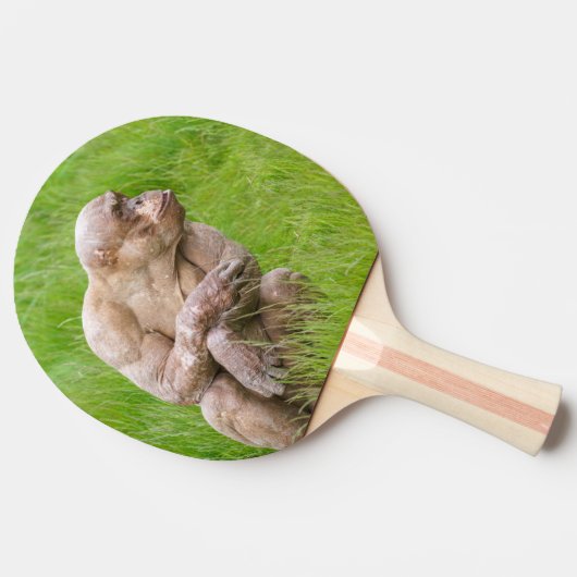 Haarloze chimpansee tafeltennisbatje (Zijkant)