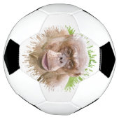 Haarloze chimpansee voetbal (Gedraaid)