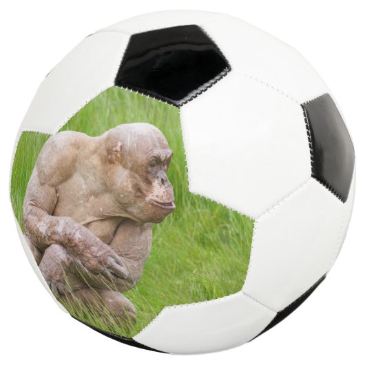 Haarloze chimpansee voetbal (Drie kwart)