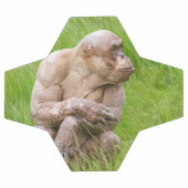 Haarloze chimpansee voetbal (Enkel)