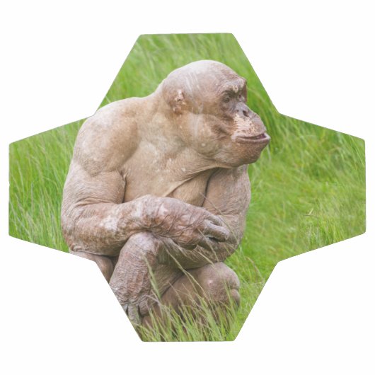 Haarloze chimpansee voetbal (Enkel)