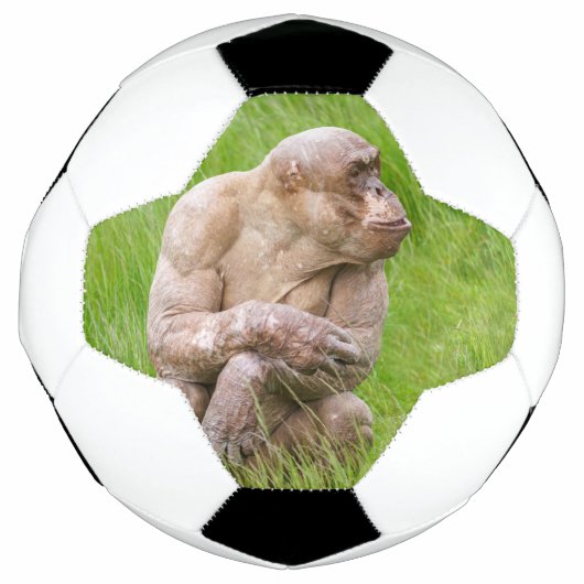Haarloze chimpansee voetbal (Voorkant)