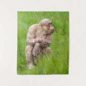 Haarloze chimpansee wandkleed (Voorkant)