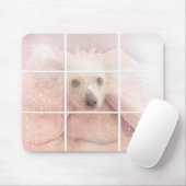 Haarloze hond in het raam muismat (Met muis)