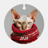 Haarloze Sphynx Kat in een trui Metalen Ornament (Achterkant)