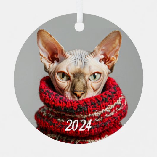 Haarloze Sphynx Kat in een trui Metalen Ornament (Voorkant)