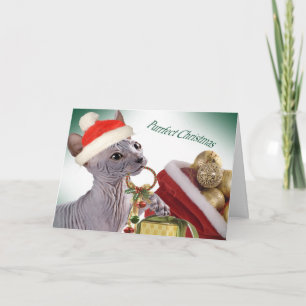 Haarloze Sphynx kerstkaarten Feestdagen Kaart