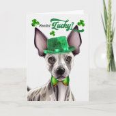 Haarloze Terrier Feelin' Lucky St Patrick's Day Feestdagen Kaart (Voorkant)