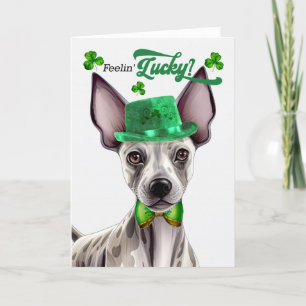 Haarloze Terrier Feelin' Lucky St Patrick's Day Feestdagen Kaart