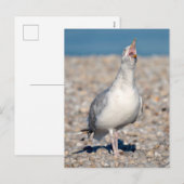 Haarsmeeuw die zijn kreet uitspreekt feestdagenkaart (Voorkant / Achterkant)