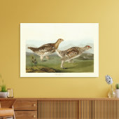 Haarstaartbruin - Amerikaanse vogels Canvas Afdruk (Insitu (Woonkamer))