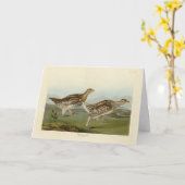 Haarstaartbruin - Amerikaanse vogels Kaart (Gele Bloem)