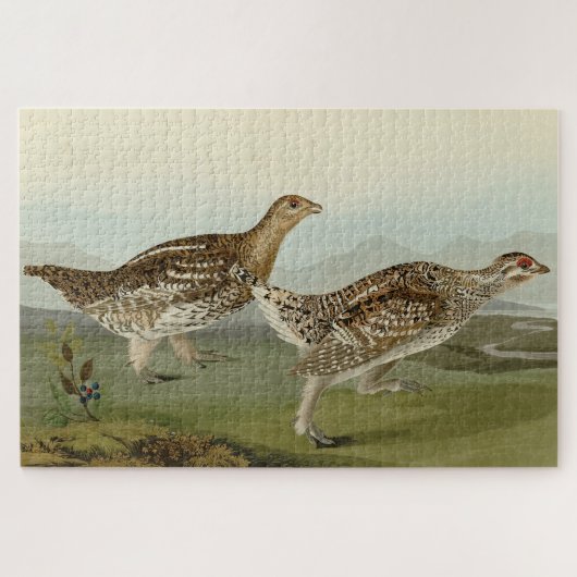 Haarstaartbruin - Amerikaanse vogels Legpuzzel (Horizontaal)