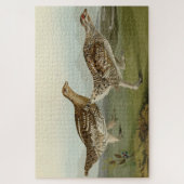 Haarstaartbruin - Amerikaanse vogels Legpuzzel (Verticaal)