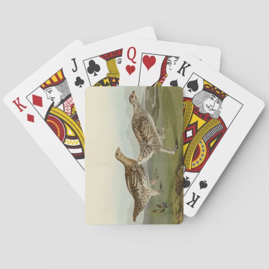 Haarstaartbruin - Amerikaanse vogels Pokerkaarten (Achterkant)