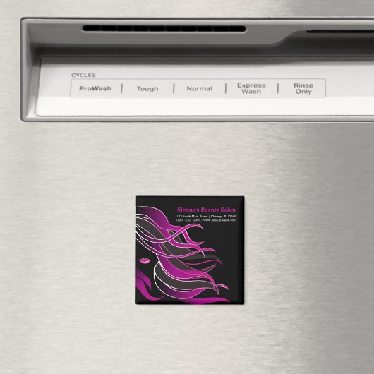 Haarstylist Magneet (Insitu (Vaatwasser))