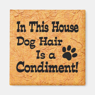 Haartoestand van de hond magneet