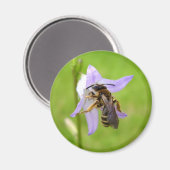 Haarvocht Bloembijen Magnet (Voorkant / Achterkant)