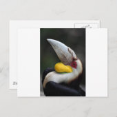 Haarvogel portret briefkaart (Voorkant / Achterkant)