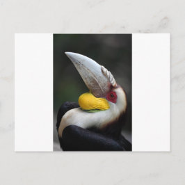 Haarvogel portret briefkaart
