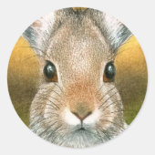 Haas 18 Sticker (Voorkant)