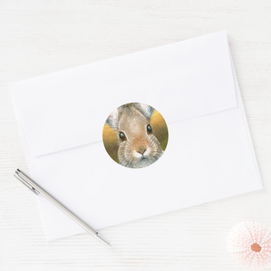 Haas 18 Sticker (Envelop)