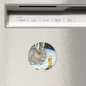 haas 20 Magneet (Insitu (Vaatwasser))