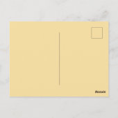 Haas Afrikaantje Briefkaart (Achterkant)