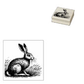 Haas Illustratie Rubberstempel (Gestempeld)